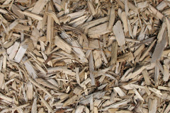 biomass boilers Woodditton